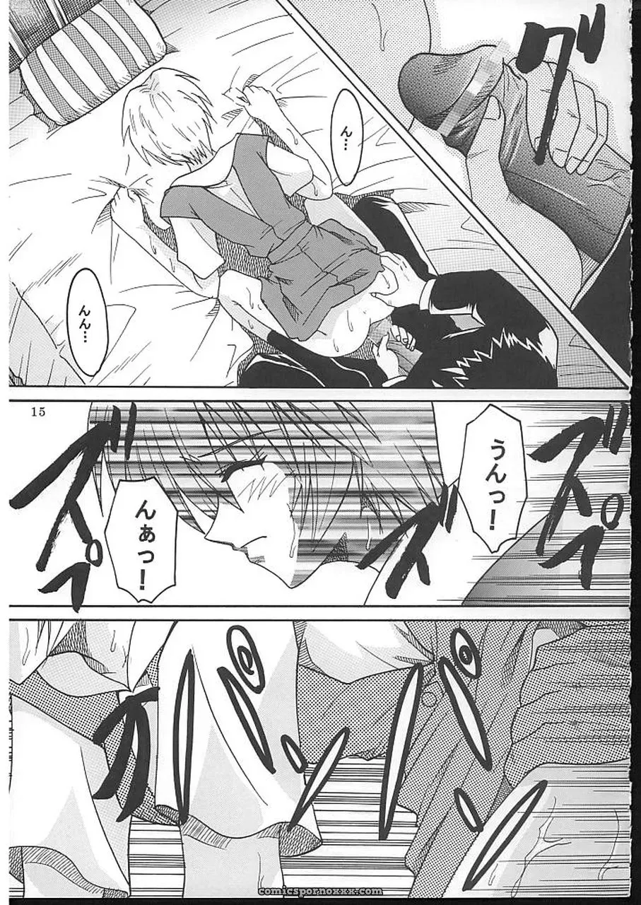 C70 St. Rio Doujinshi: Neon Genesis Evangelion & Nadia Crossover - Page 16