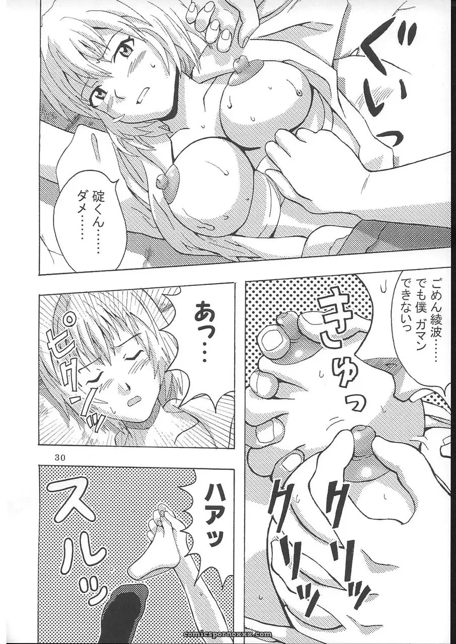 C70 St. Rio Doujinshi: Neon Genesis Evangelion & Nadia Crossover - Page 31