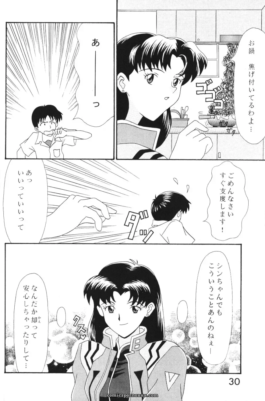 System Speculation: Imai Youki’s PUSHY ANGEL (Neon Genesis Evangelion) - Page 29