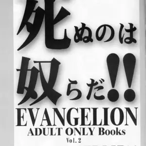 C59 Furaipan Daimaou Doujinshi: Evangelion Live & Let Die (Oofuji Reiichirou) - Page 2