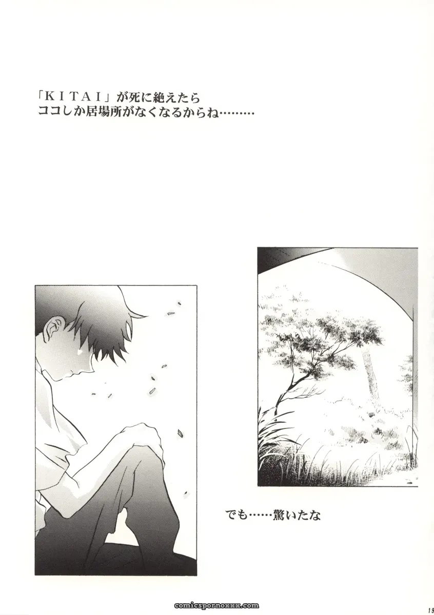 Ayanami Club Prelude: Hen Rei Kai (Kawarajima Kou) – Neon Genesis Evangelion - Page 20
