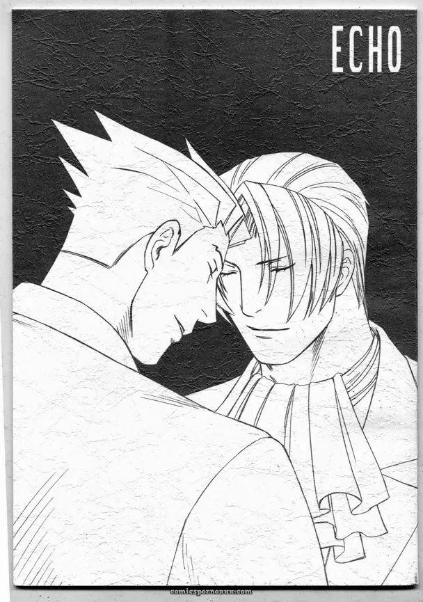 Phoenix Wright: Echo - Page 1