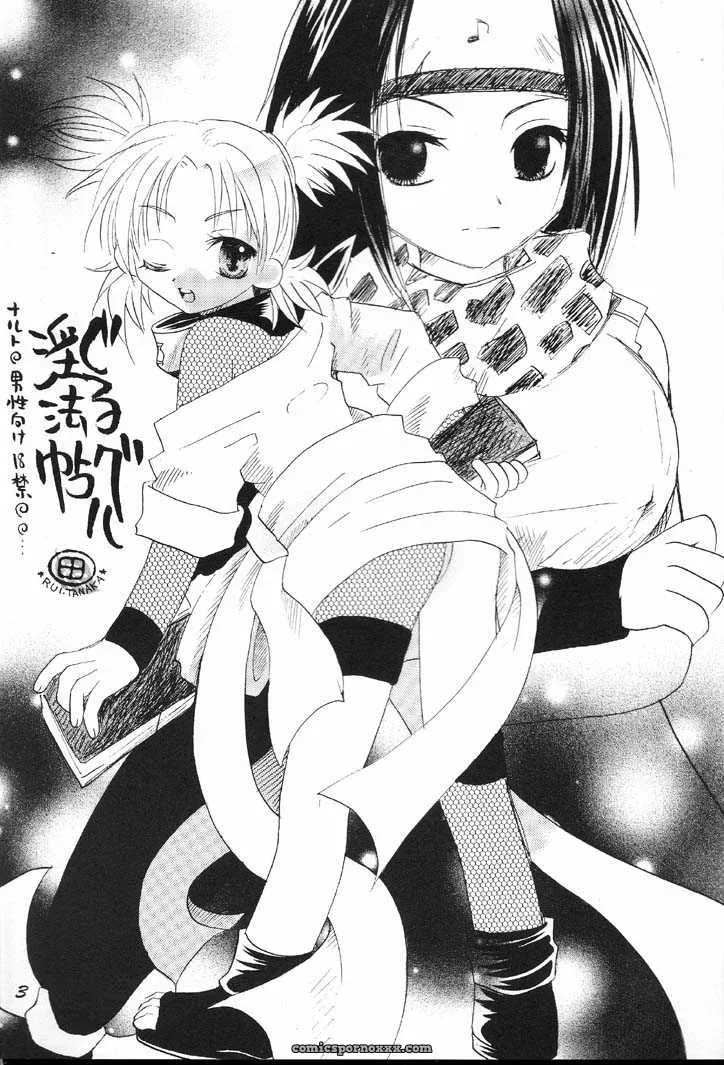 Naruto Guru Guru Inhoujou: C60 Bokutou Kidan, Denchuu Rui, Makotonet Fanfiction - Page 2