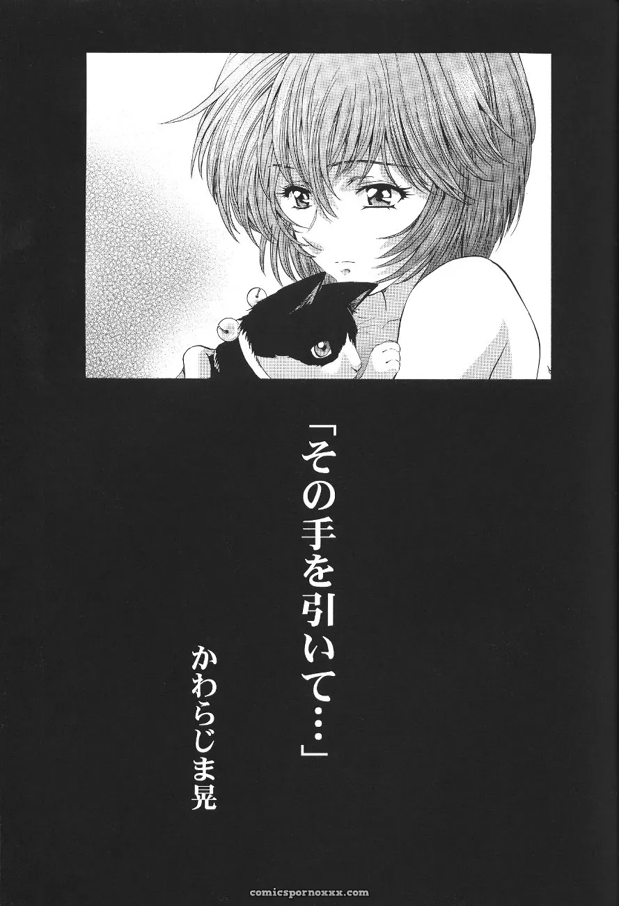 Ayanami Club Ichi (C64 Henreikai Evangelion) - Page 27