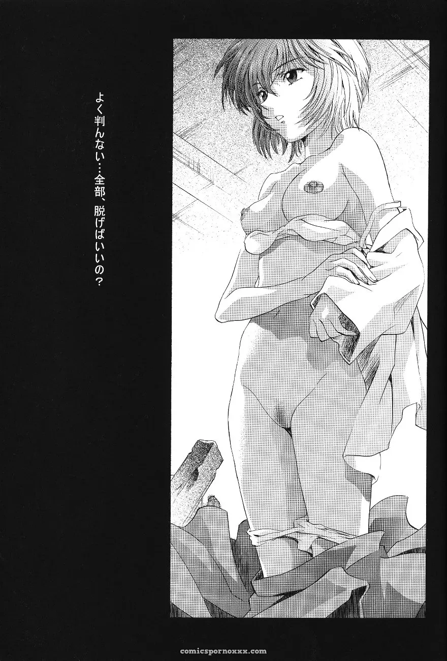 Ayanami Club Ichi (C64 Henreikai Evangelion) - Page 43