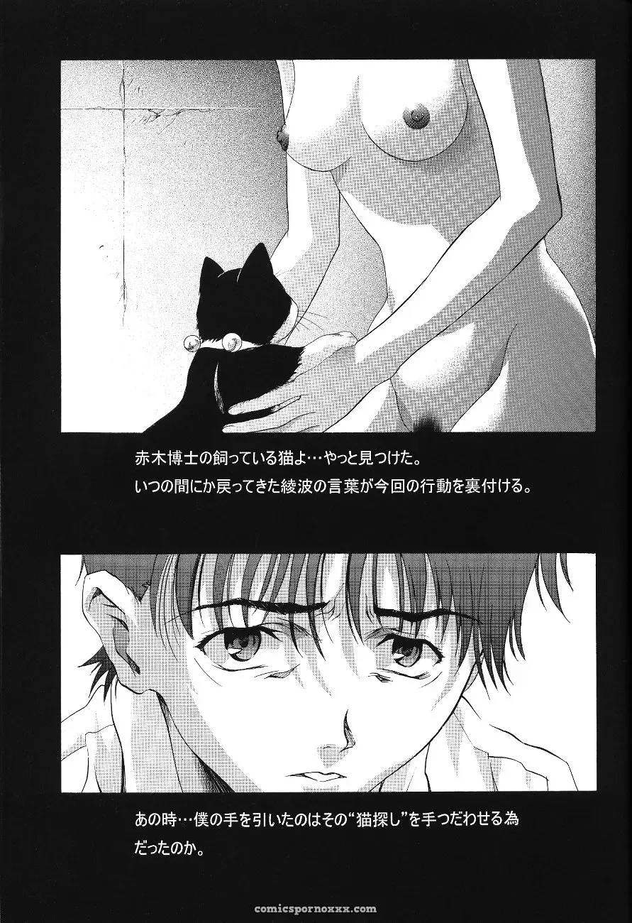Ayanami Club Ichi (C64 Henreikai Evangelion) - Page 45
