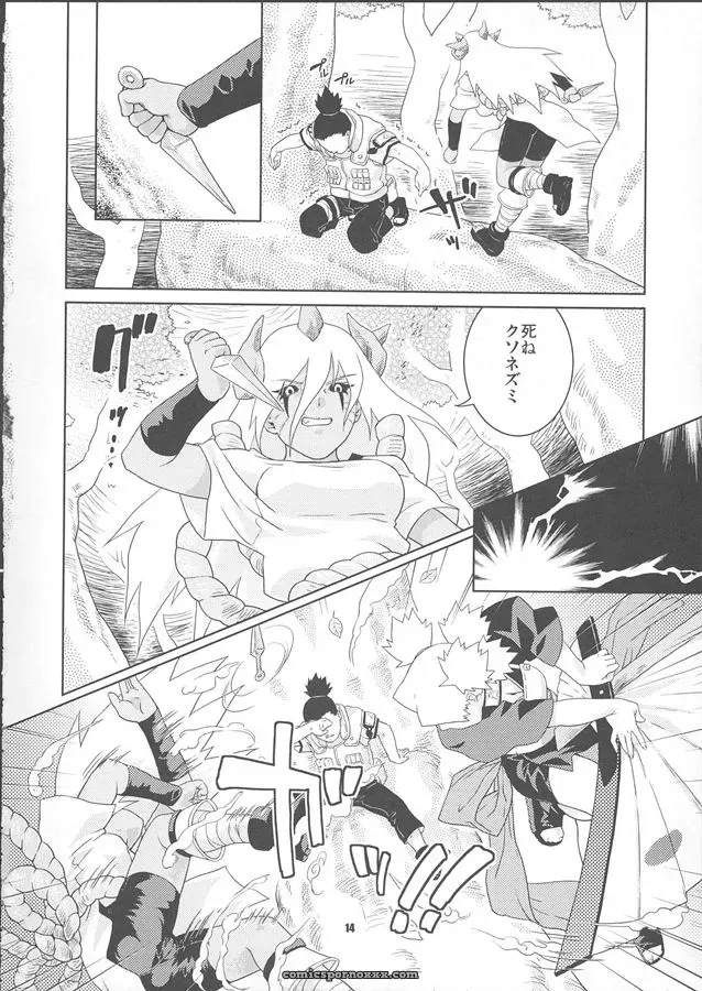Nekomata Naomi (Naruto) – Nakisuna no Yoru (C68) - Page 14