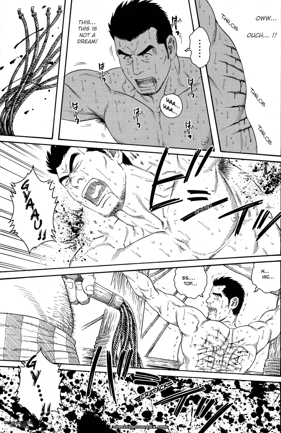 The Flying Dutchman - Page 5