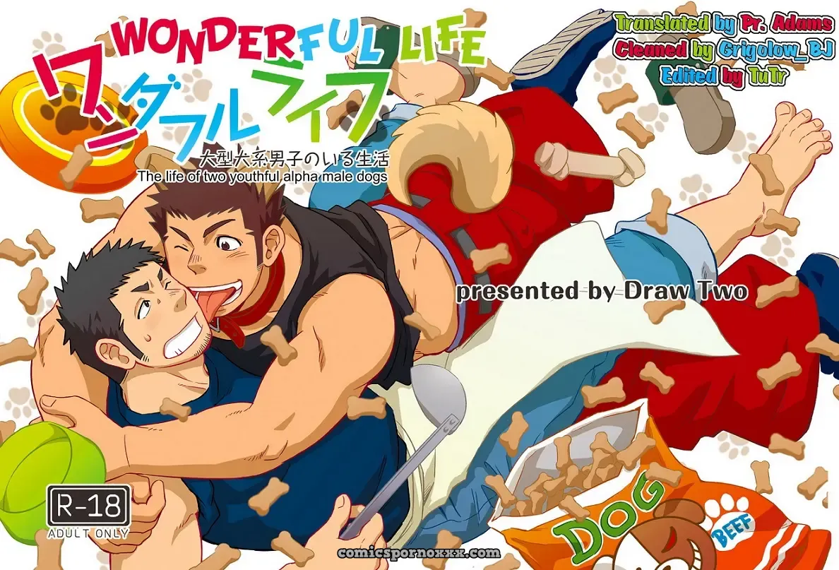 Wonderful Life: The Life Of Two Youthful Alpha Male Dogs - Page 1