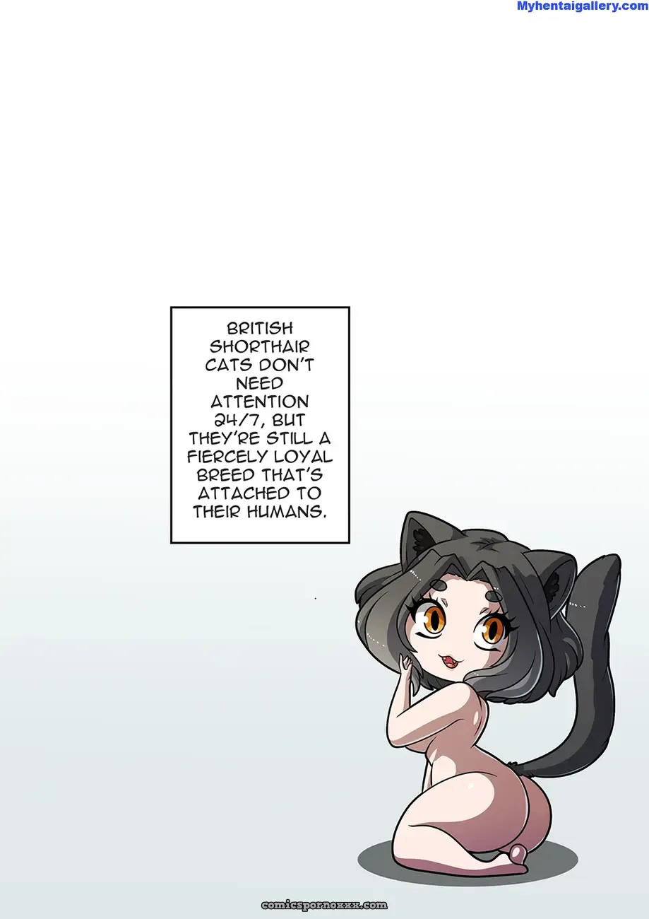 Feline Chateau #4 - Page 22