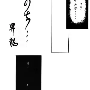 Ranma 1/2: L-Gauge Sha (Shouryuu) WA 2 - Page 5