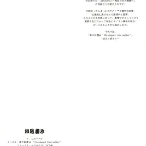 Touhou Scarlet Devil Disaster: Elegant Time Walker (C67 DPS Doujin) - Page 3