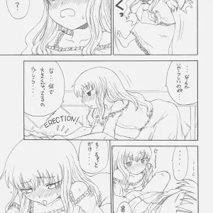 Shouryuutei & Studio Nama: Servant of Zero (Zero no Tsukaima) Anime Art - Page 5