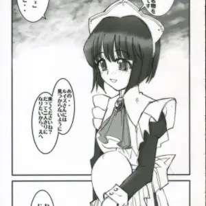 Hajimete no Inu (Zero no Tsukaima) C70 Doujinshi: Flat & Slit Racing 66 (Mu Mu Munou) - Page 4