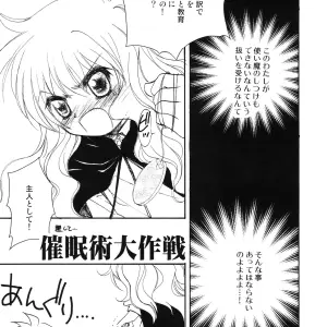 JYARAYA (Aikawa Makoko, Morishima Petit) - Suki tte Itte tte Itte! (Zero no Tsukaima) Doujinshi C71 - Page 4