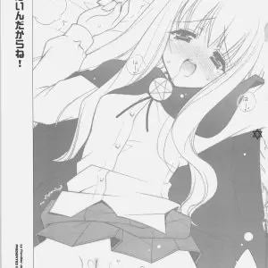 Suki janai ndakara ne! (Zero no Tsukaima) - Page 2