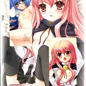 C71 Nagisawaya Doujinshi: Makulost - My Defloration Plan (Zero no Tsukaima) - Page 2