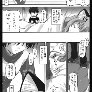 Suzuya Ryohka's MiMi:0 Doujinshi (Zero no Tsukaima) - Page 5