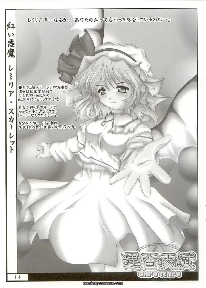 Luft Forst (KAZAMI Rei) Reitaisai Doujin – Touhou Project - Page 10