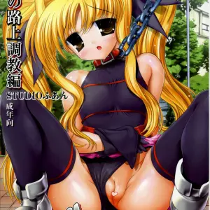 Studio Huan's Fate-chan: Mahiru no Rojou Choukyou Hen (Lyrical Nanoha SC36) - Page 1