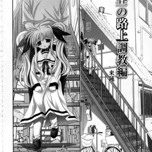 Studio Huan's Fate-chan: Mahiru no Rojou Choukyou Hen (Lyrical Nanoha SC36) - Page 3