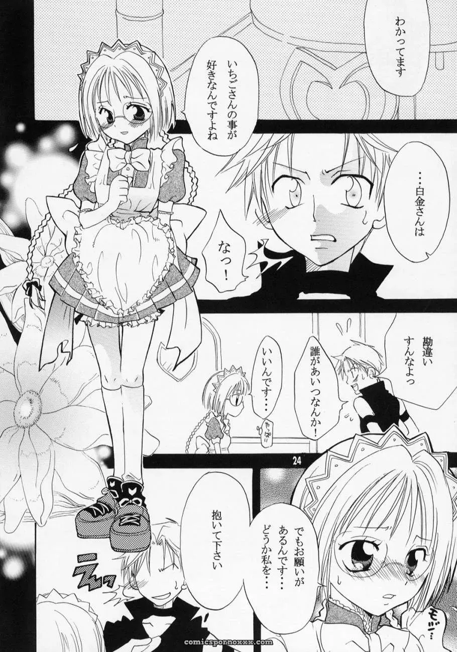 Tokyo Mew Mew: Myuu Musume 3 – Kurione-Sha (Yu-Ri) - Page 23