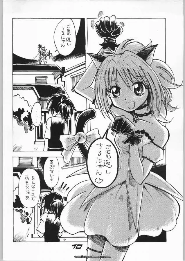 Tokyo Mew Mew: Aikawa Kenji’s Goongaeshi - Page 10