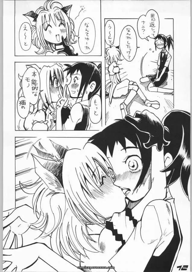 Tokyo Mew Mew: Aikawa Kenji’s Goongaeshi - Page 12