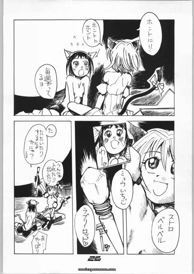 Tokyo Mew Mew: Aikawa Kenji’s Goongaeshi - Page 26