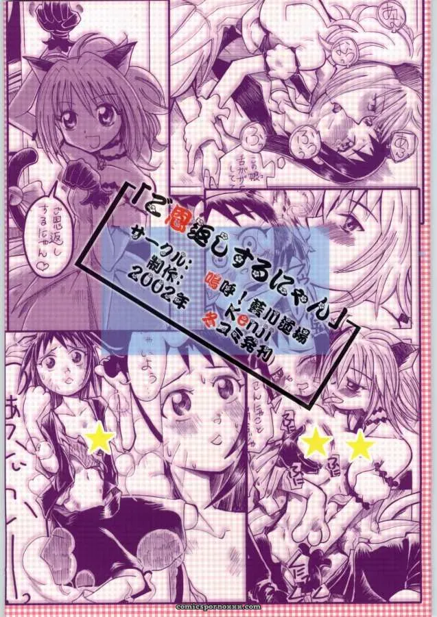 Tokyo Mew Mew: Aikawa Kenji’s Goongaeshi - Page 39