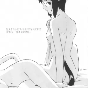 Tsukihime Mitsugetsu Vol. 3: Akari Tsutsumi - C63 - Page 3