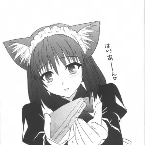 Tsukihime Mitsugetsu Vol. 3: Akari Tsutsumi - C63 - Page 6