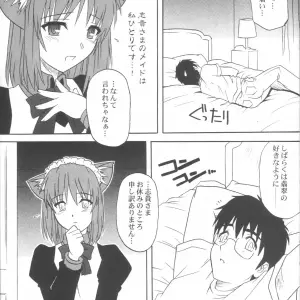 Tsukihime Mitsugetsu Vol. 3: Akari Tsutsumi - C63 - Page 8