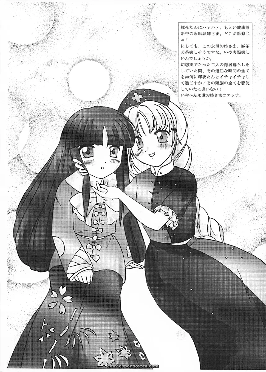 Monopole Laboratory: A Touhou Project Fan Work - Page 16