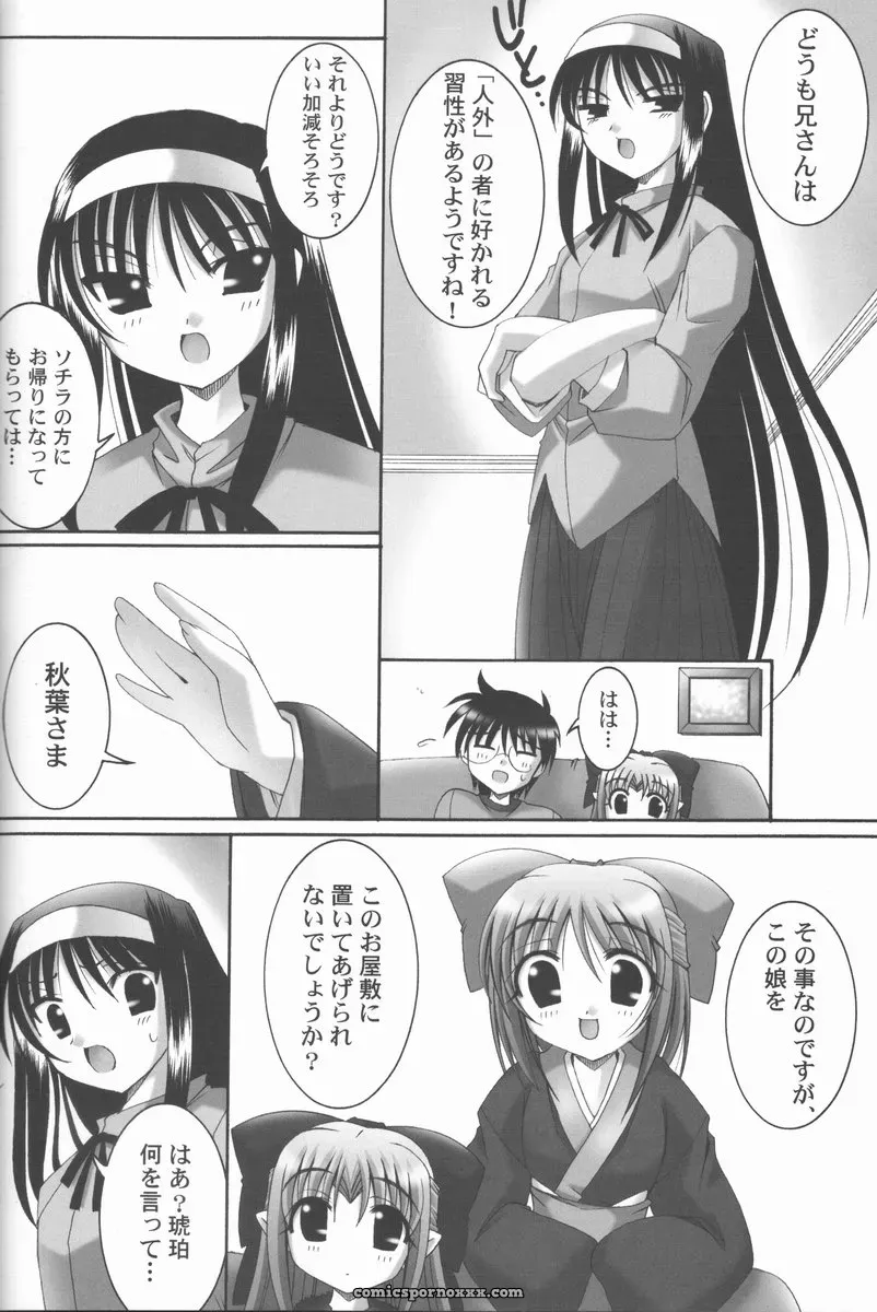 Abarenbow Tengu Fanwork: Abaretsukiyo 3 (Tsukihime) - Page 11