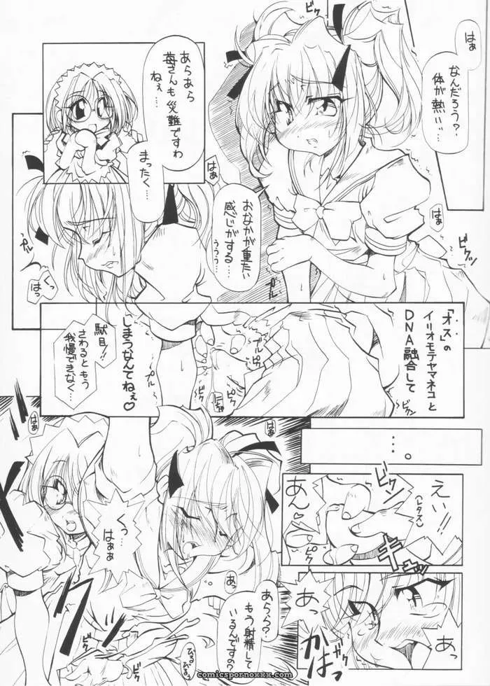 Tokyo Mew Mew: Paradise City Culinary Adventure 61 - Page 12