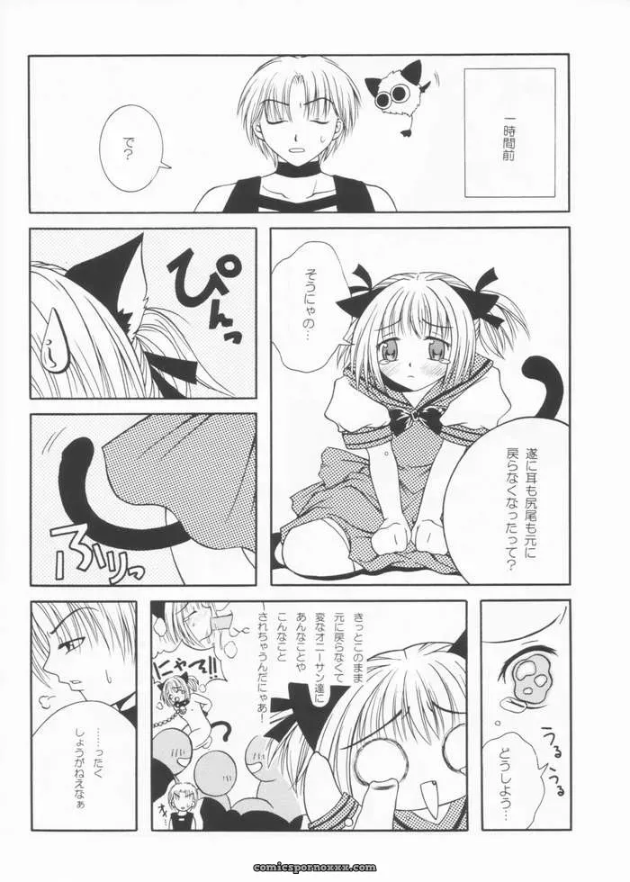 Tokyo Mew Mew: Paradise City Culinary Adventure 61 - Page 7