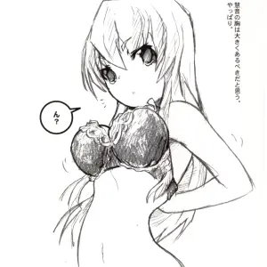 Shirasawa (Touhou Project) - C67 Doujinshi - Page 1