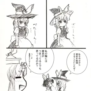 Shirasawa (Touhou Project) - C67 Doujinshi - Page 2