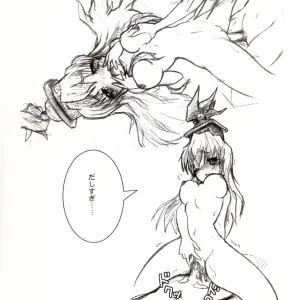 Shirasawa (Touhou Project) - C67 Doujinshi - Page 4