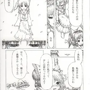 Touhou Project: Last Curtain Fire on Little Borderland - Felis Ovum Fanwork - Page 4