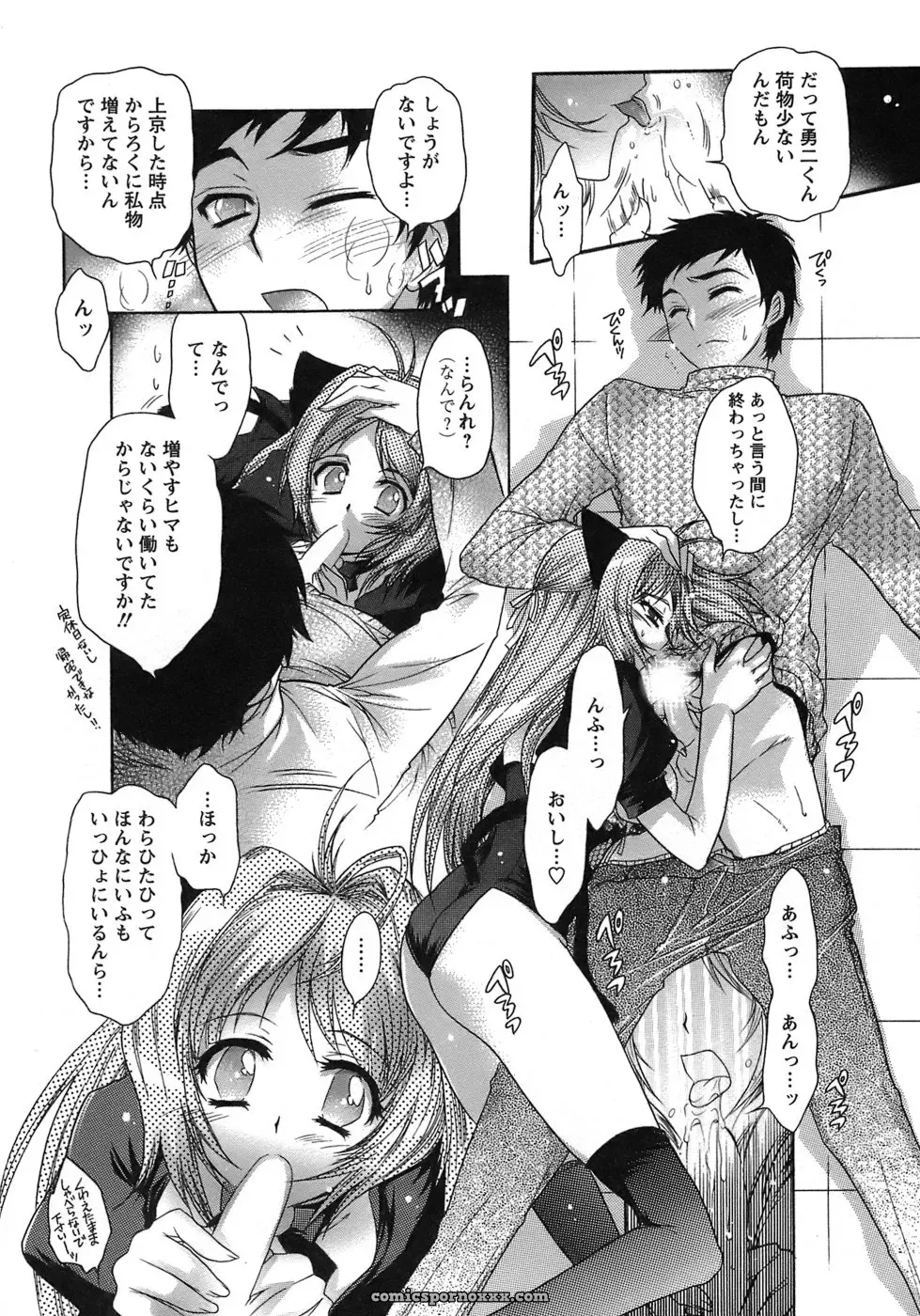 Honda Arima: Cat Transport - Page 134