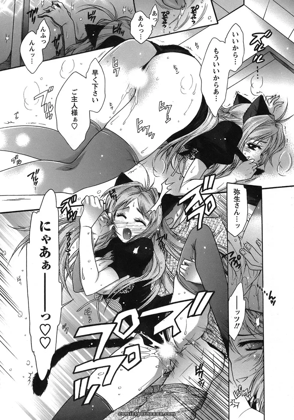 Honda Arima: Cat Transport - Page 138