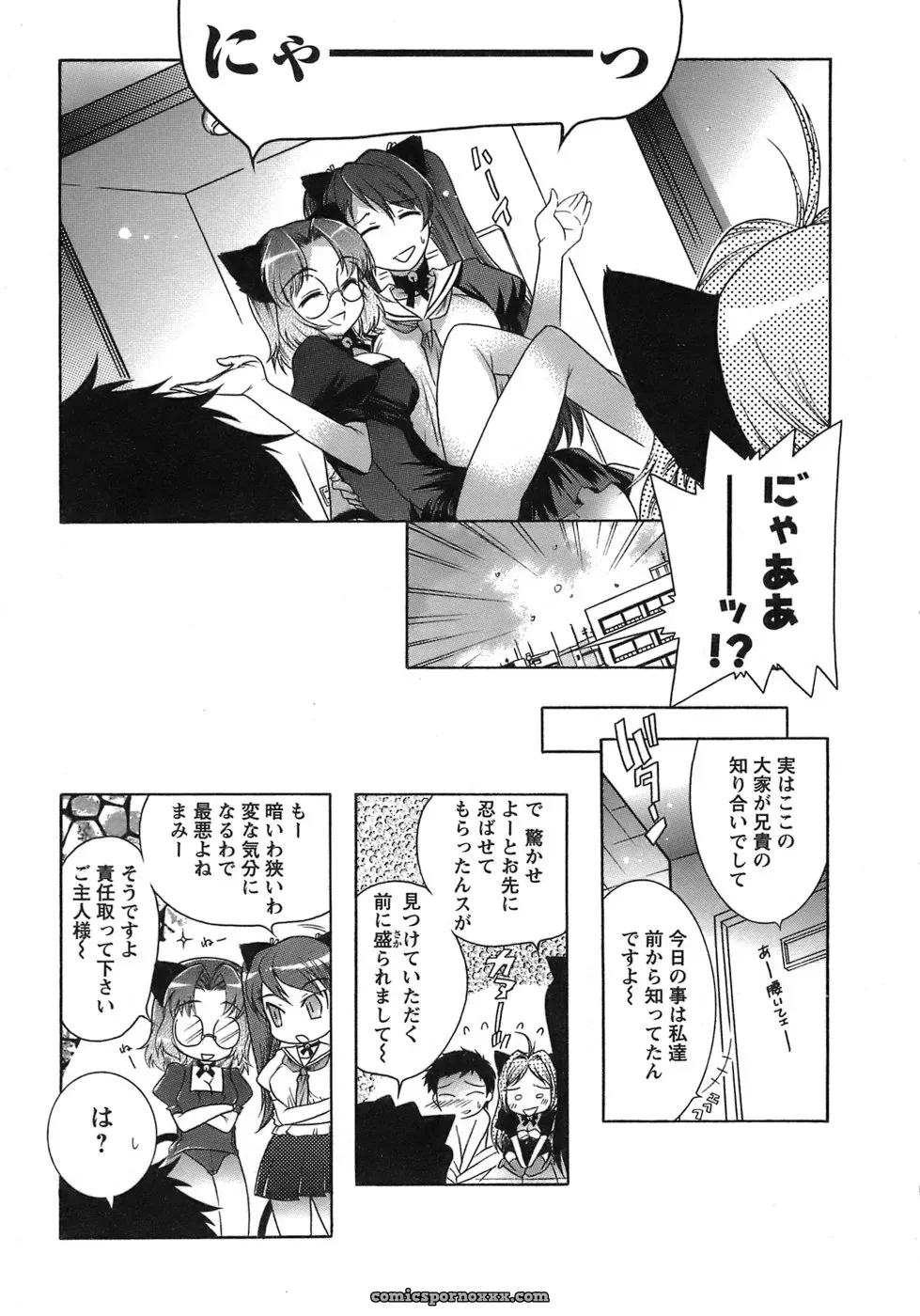Honda Arima: Cat Transport - Page 141