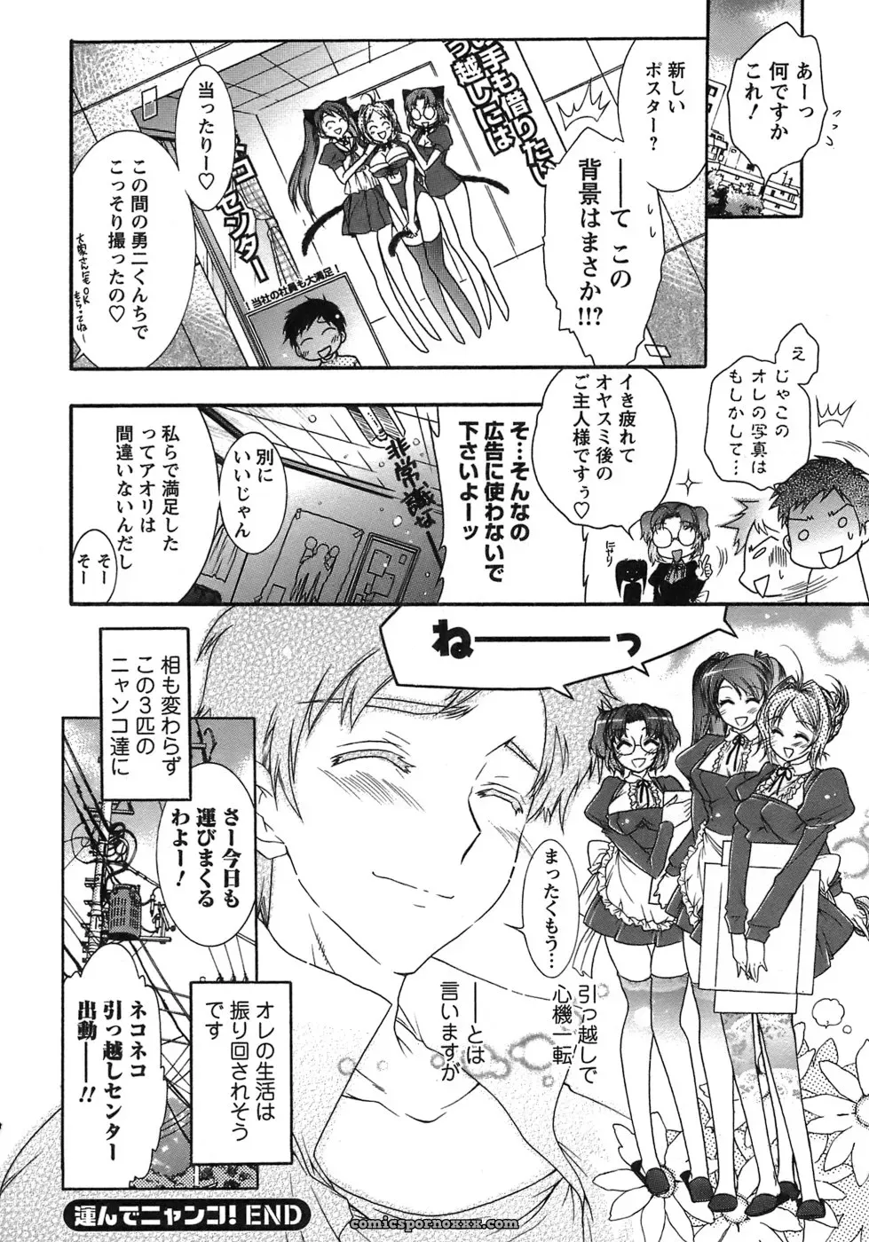 Honda Arima: Cat Transport - Page 146