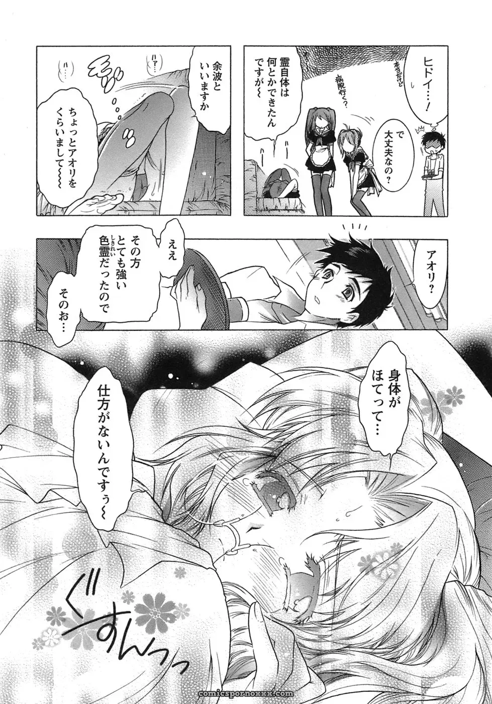 Honda Arima: Cat Transport - Page 93