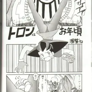 Studio Wallaby's Tron no Naisho (Mega Man Legends) - Page 3