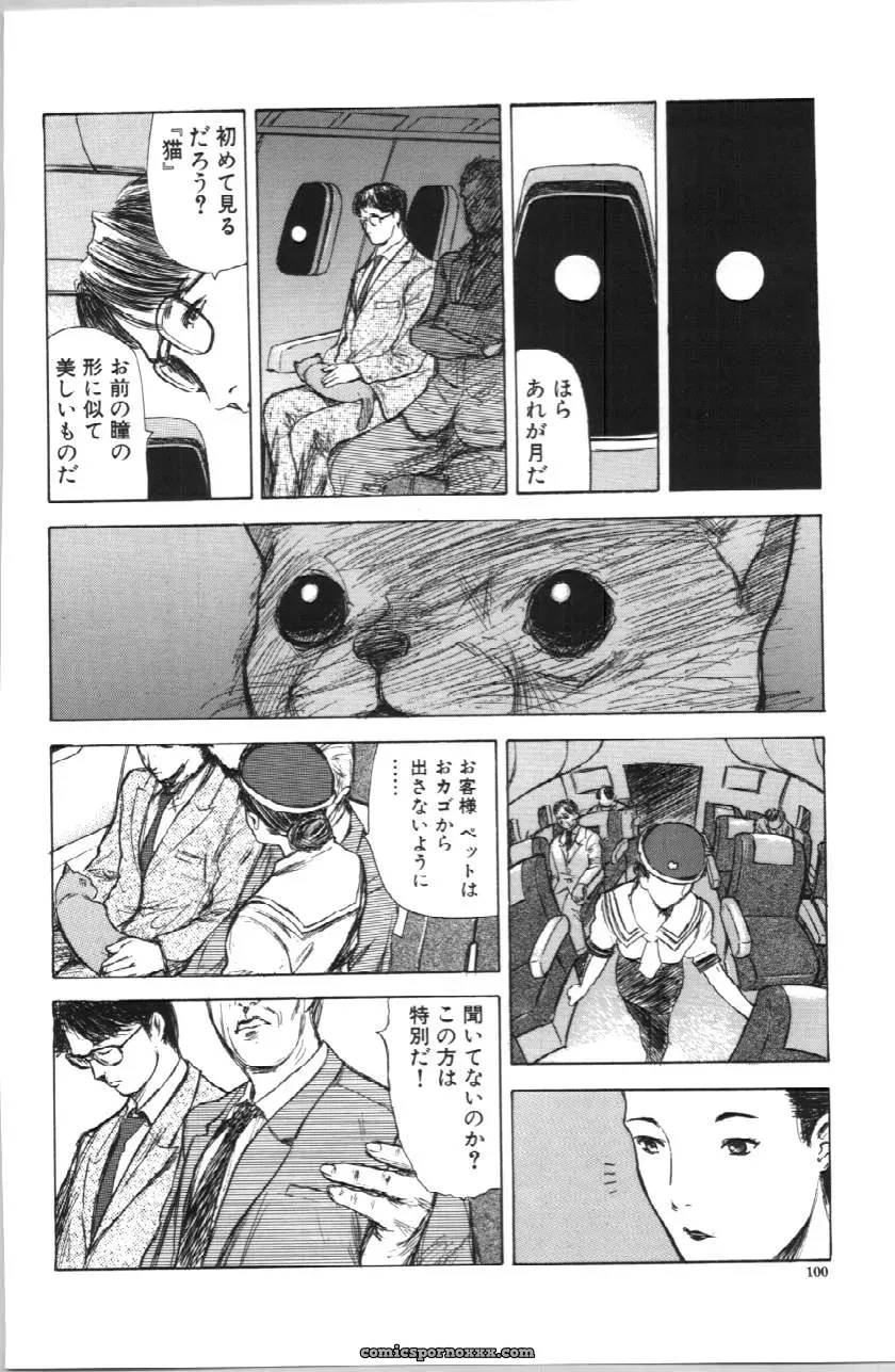 Itoko Cousin from Yamada Tahichi: A Closer Look at Family Ties - Page 100