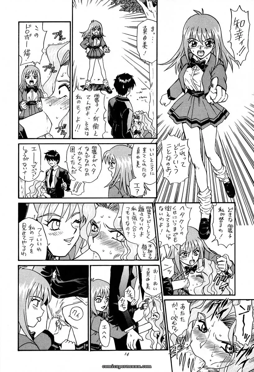 Rat Tail & Princess Heart: Irie Yamazaki Kakyuusei Anime - Page 13