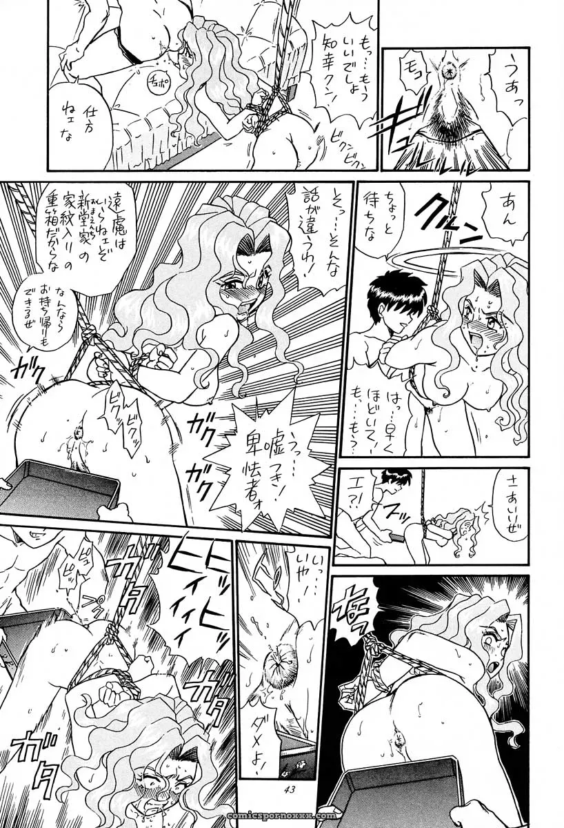 Rat Tail & Princess Heart: Irie Yamazaki Kakyuusei Anime - Page 42